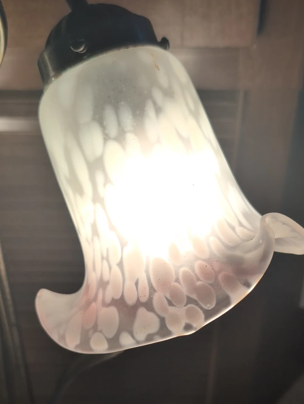Andrea by Sadek Pond Lily Tulip Gooseneck Table Lamp
